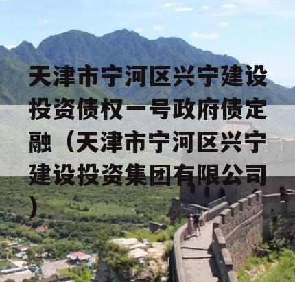 天津市宁河区兴宁建设投资债权一号政府债定融（天津市宁河区兴宁建设投资集团有限公司）