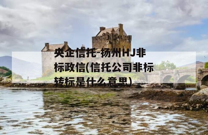央企信托-扬州HJ非标政信(信托公司非标转标是什么意思)