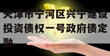 天津市宁河区兴宁建设投资债权一号政府债定融