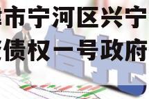 天津市宁河区兴宁建设投资债权一号政府债定融