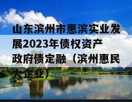 山东滨州市惠滨实业发展2023年债权资产政府债定融（滨州惠民大企业）