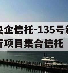 央企信托-135号新沂项目集合信托