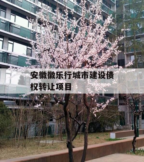 安徽徽乐行城市建设债权转让项目