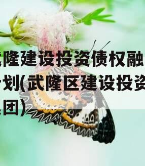 武隆建设投资债权融资计划(武隆区建设投资集团)