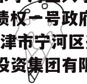 天津市宁河区兴宁建设投资债权一号政府债定融(天津市宁河区兴宁建设投资集团有限公司)