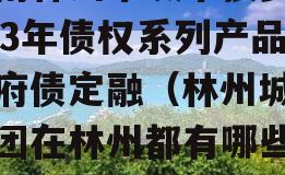 河南林州市城市投资2023年债权系列产品政府债定融（林州城投集团在林州都有哪些项目）
