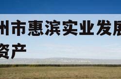 滨州市惠滨实业发展债权资产