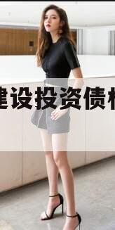武隆建设投资债权融资计划