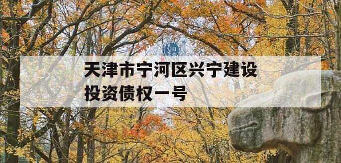 天津市宁河区兴宁建设投资债权一号
