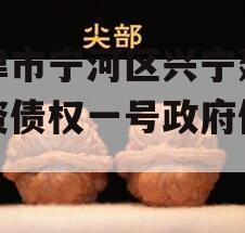 天津市宁河区兴宁建设投资债权一号政府债定融