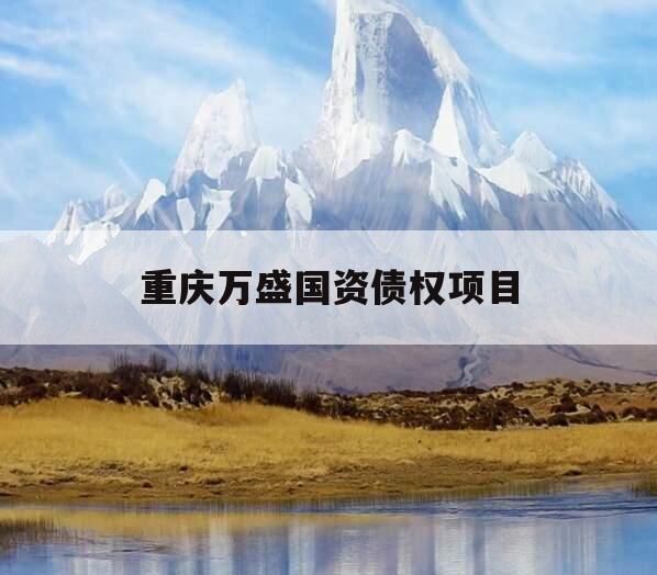 重庆万盛国资债权项目