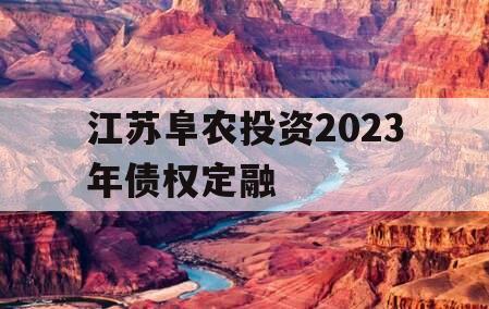 江苏阜农投资2023年债权定融