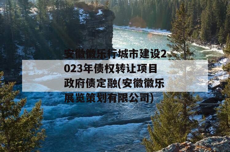 安徽徽乐行城市建设2023年债权转让项目政府债定融(安徽徽乐展览策划有限公司)
