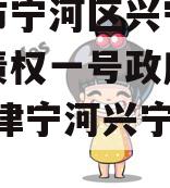天津市宁河区兴宁建设投资债权一号政府债定融(天津宁河兴宁投资集团)