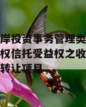 东岸投资事务管理类财产权信托受益权之收益权转让项目