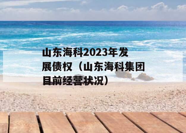 山东海科2023年发展债权（山东海科集团目前经营状况）