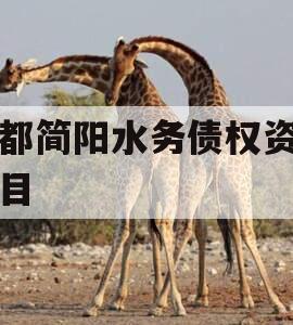 成都简阳水务债权资产项目