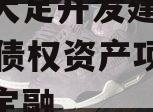 重庆大足开发建设2023年债权资产项目政府债定融