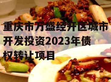 重庆市万盛经开区城市开发投资2023年债权转让项目