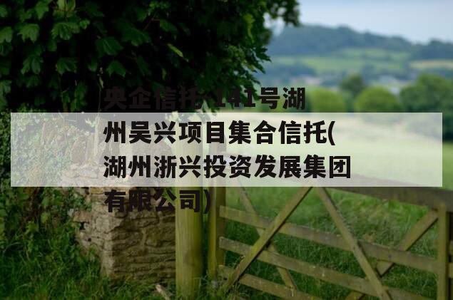 央企信托-141号湖州吴兴项目集合信托(湖州浙兴投资发展集团有限公司)