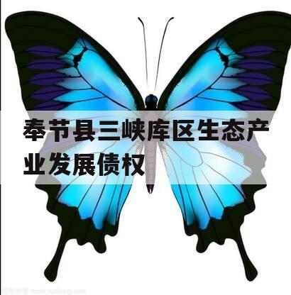奉节县三峡库区生态产业发展债权
