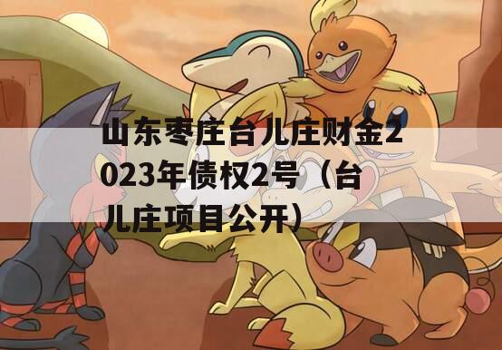 山东枣庄台儿庄财金2023年债权2号（台儿庄项目公开）