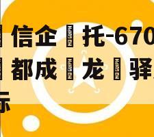 央‮信企‬托-670号‮都成‬龙‮驿泉‬非标