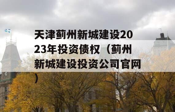 天津蓟州新城建设2023年投资债权（蓟州新城建设投资公司官网）