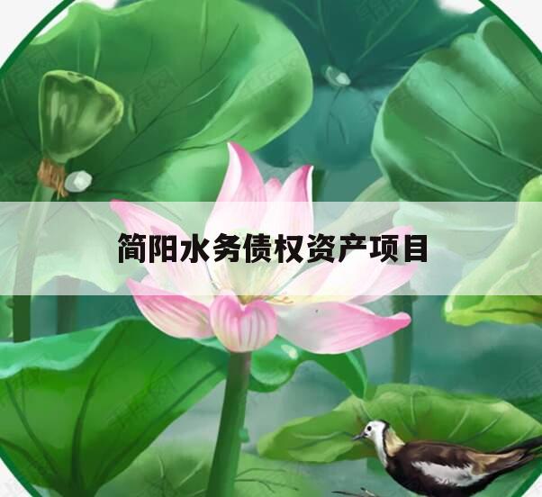 简阳水务债权资产项目