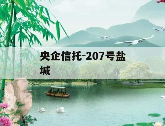 央企信托-207号盐城