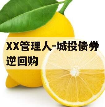XX管理人-城投债券逆回购