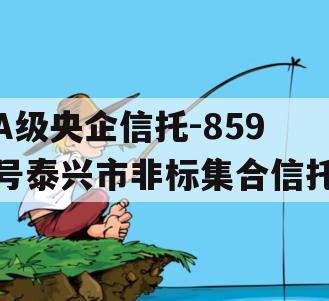 A级央企信托-859号泰兴市非标集合信托