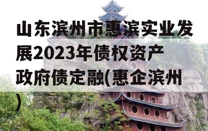 山东滨州市惠滨实业发展2023年债权资产政府债定融(惠企滨州)
