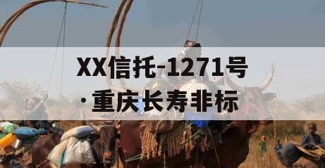 XX信托-1271号·重庆长寿非标