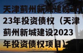 天津蓟州新城建设2023年投资债权（天津蓟州新城建设2023年投资债权项目）