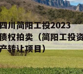 四川简阳工投2023债权拍卖（简阳工投资产转让项目）