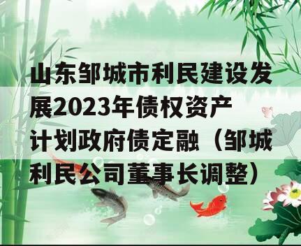 山东邹城市利民建设发展2023年债权资产计划政府债定融（邹城利民公司董事长调整）