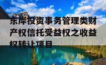 东岸投资事务管理类财产权信托受益权之收益权转让项目