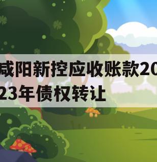 咸阳新控应收账款2023年债权转让