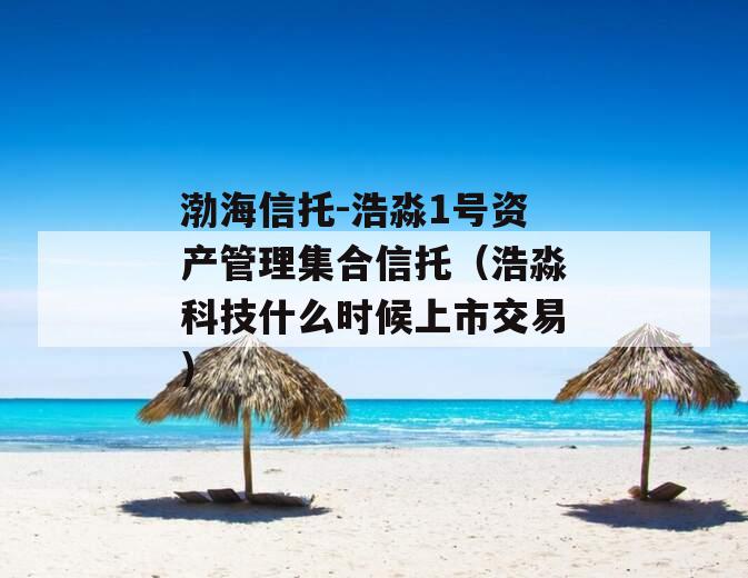 渤海信托-浩淼1号资产管理集合信托（浩淼科技什么时候上市交易）