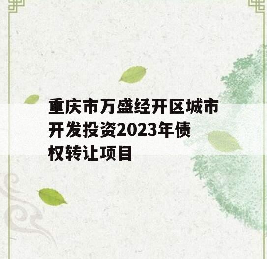 重庆市万盛经开区城市开发投资2023年债权转让项目