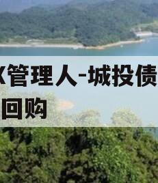XX管理人-城投债券逆回购