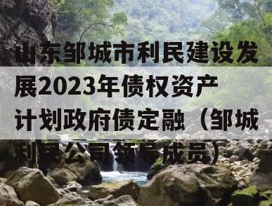 山东邹城市利民建设发展2023年债权资产计划政府债定融（邹城利民公司领导成员）