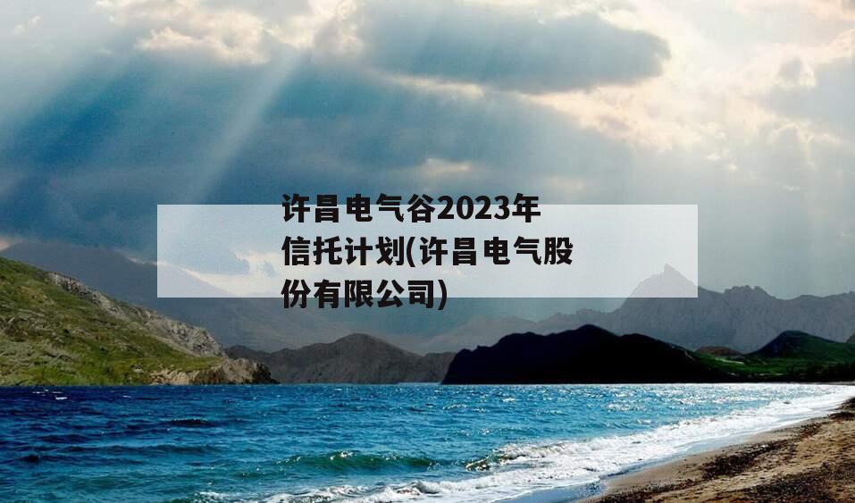 许昌电气谷2023年信托计划(许昌电气股份有限公司)