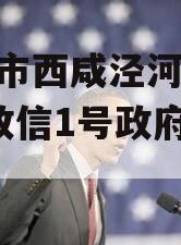 西安市西咸泾河2023年政信1号政府债定融