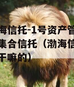 渤海信托-1号资产管理集合信托（渤海信托是干嘛的）