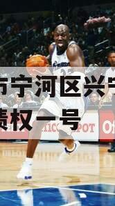 天津市宁河区兴宁建设投资债权一号