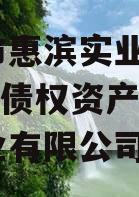 滨州市惠滨实业发展2023年债权资产（滨惠置业有限公司）