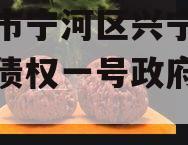 天津市宁河区兴宁建设投资债权一号政府债定融