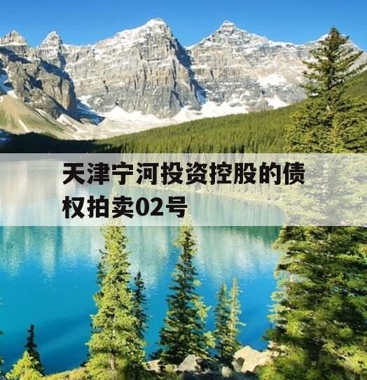 天津宁河投资控股的债权拍卖02号